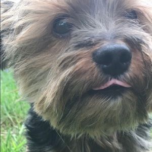 Meet your Posher, Noah